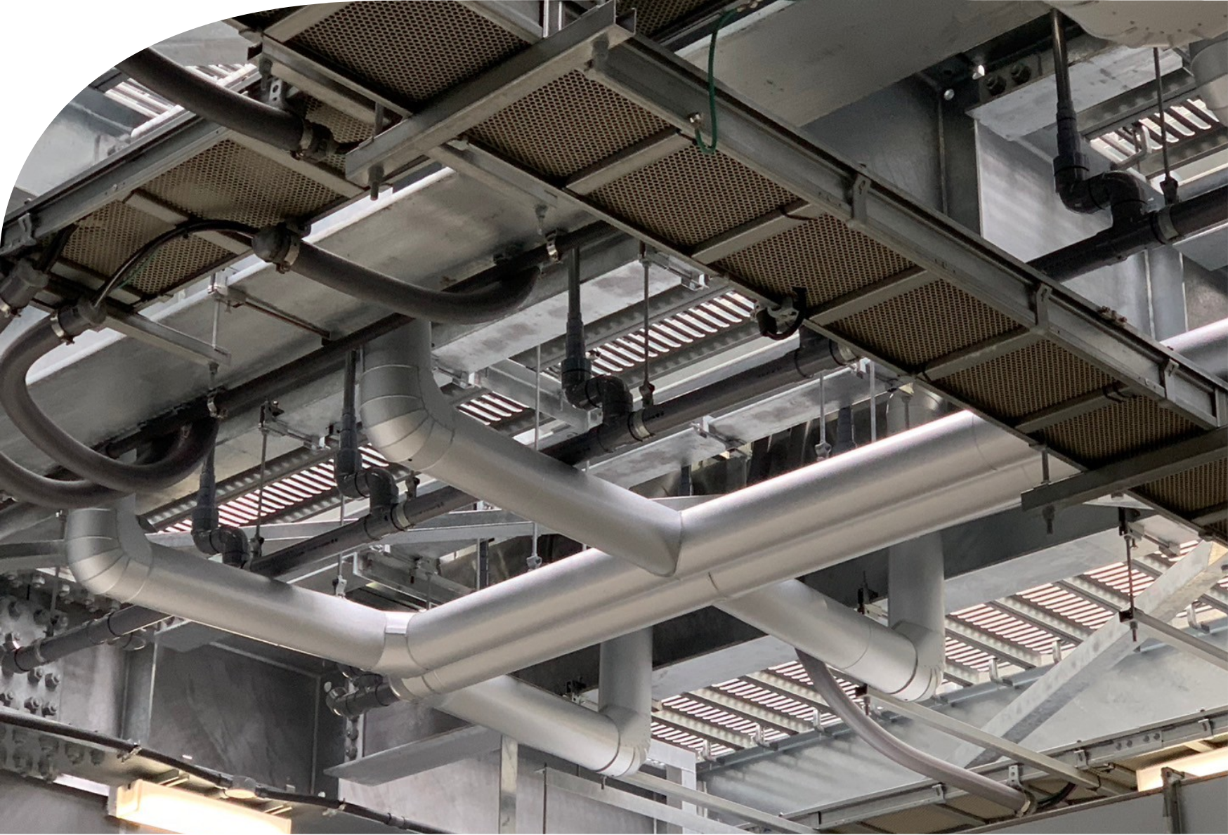 株式会社さくら | SAKURA Inc.