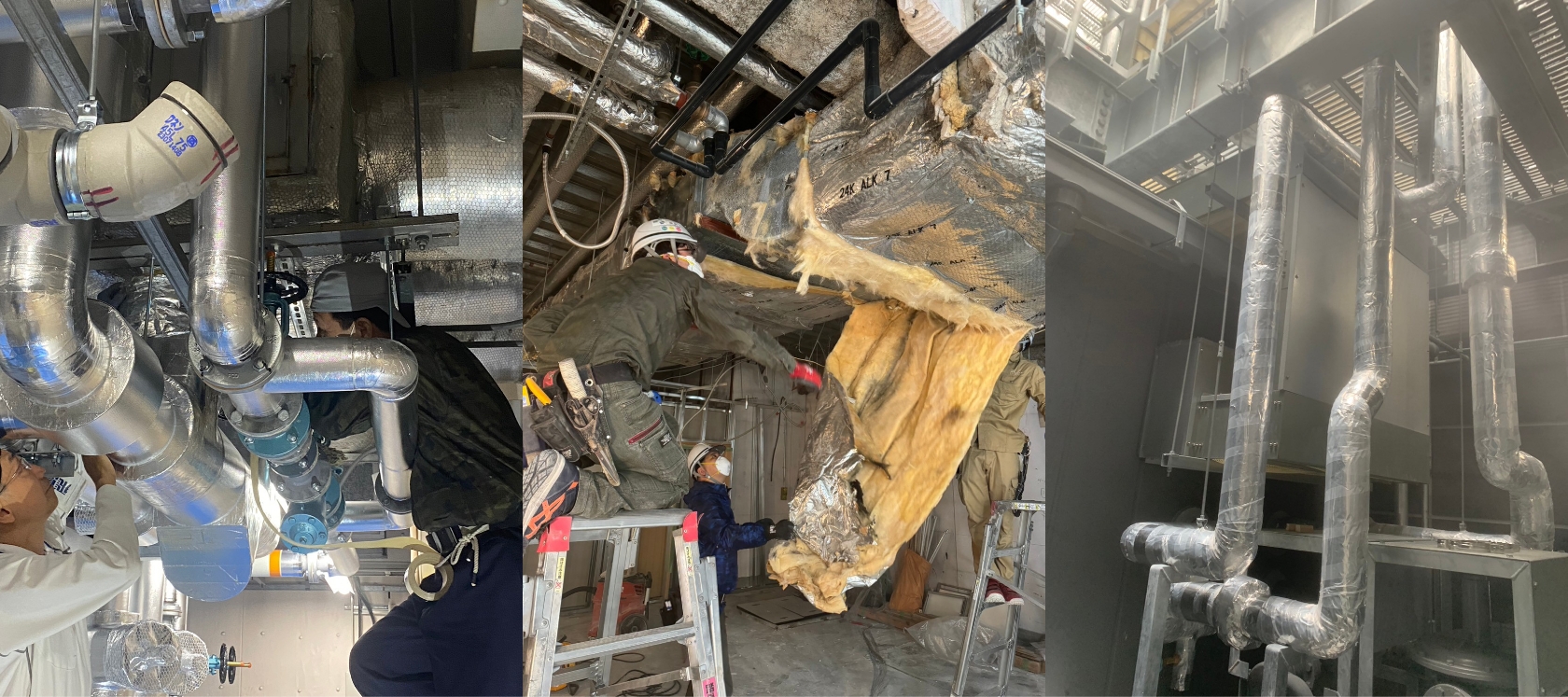 株式会社さくら | SAKURA Inc.